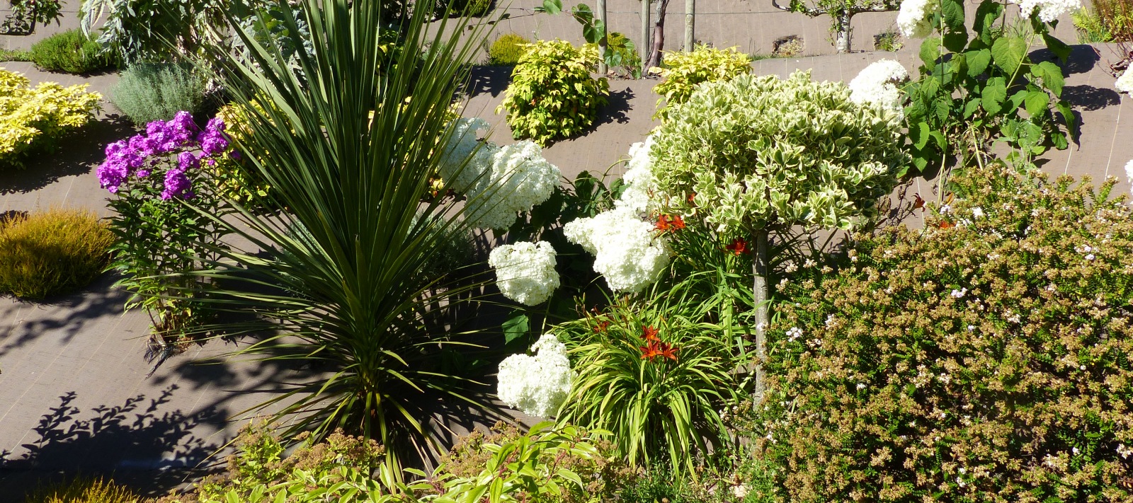 jardin arboré villedieu les poeles