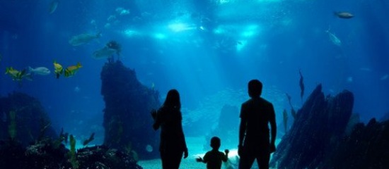 Aquarium Saint Malo The Grand Aquarium