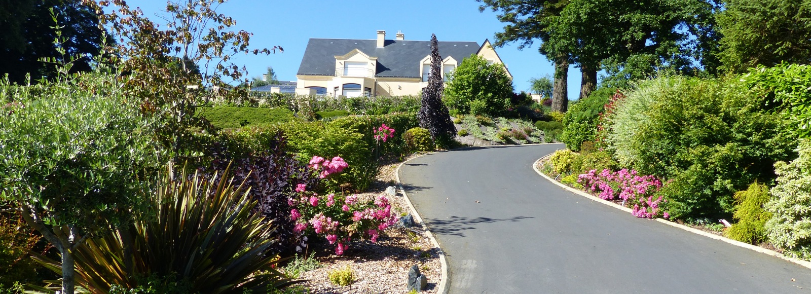 Landscaped Garden